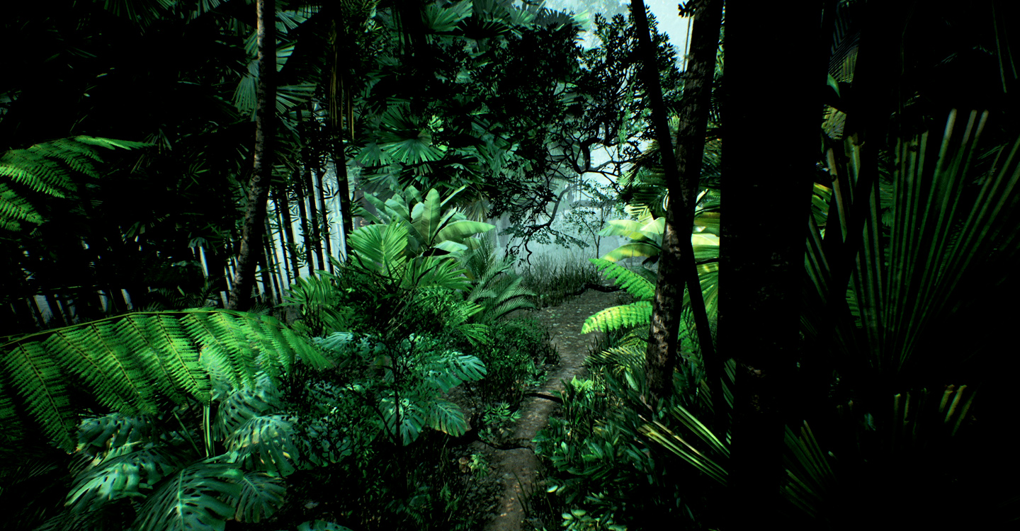 Bilde av grønne blader som får solys på seg, lenkes til miljøfond