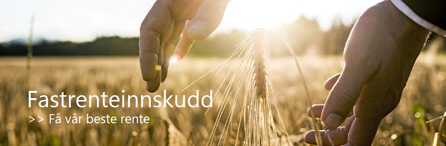 Fastrenteinnskudd
