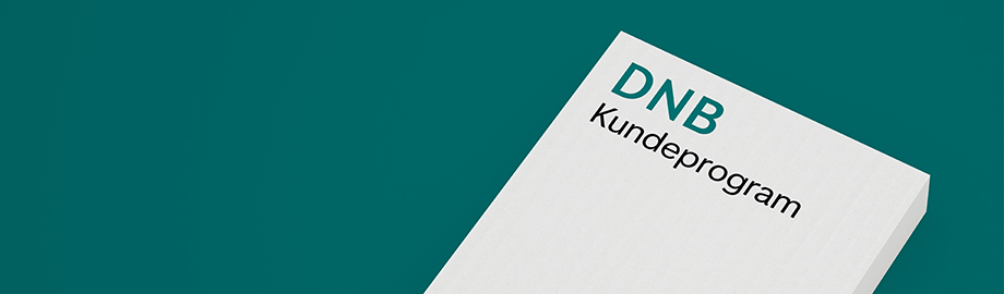 dnb kundeprogram