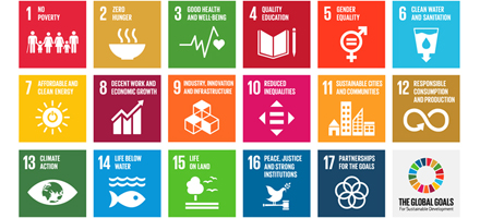 UN Sustainable Development Goals